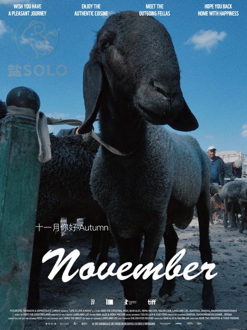 刀郎羊养殖技术中国有哪些核心要点?-图1 刀郎羊养殖技术中国有哪些核心要点?-图1