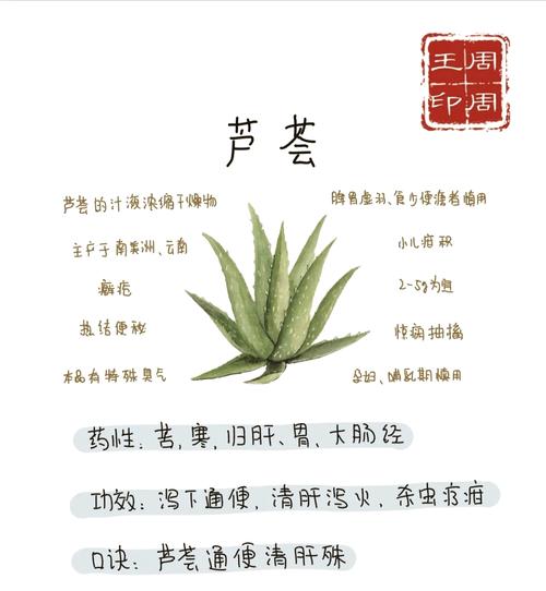 如何辨别芦荟品种?-图2 如何辨别芦荟品种?-图2