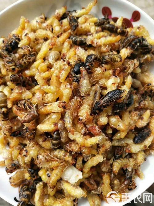 湖北养蜂,哪个品种最合适?-图3 湖北养蜂,哪个品种最合适?-图3