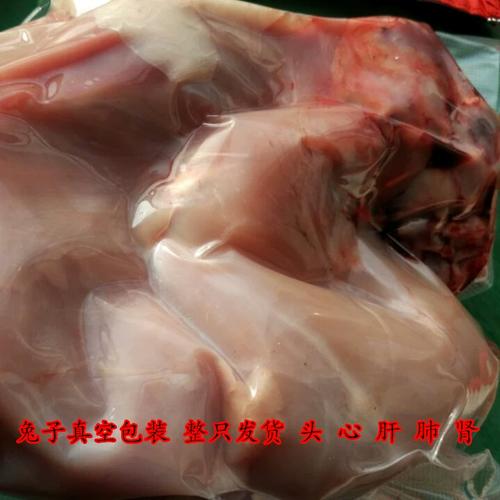 哪个品种的兔子肉质最好?-图3 哪个品种的兔子肉质最好?-图3