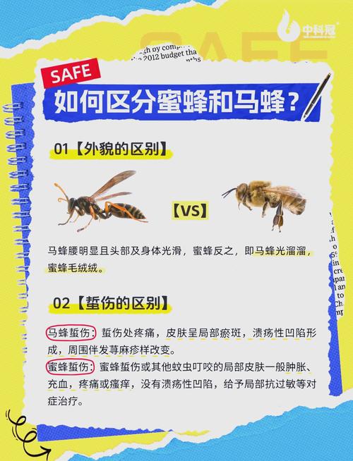 蜜蜂病敌害综合防技术如何有效实施?-图1 蜜蜂病敌害综合防技术如何有效实施?-图1
