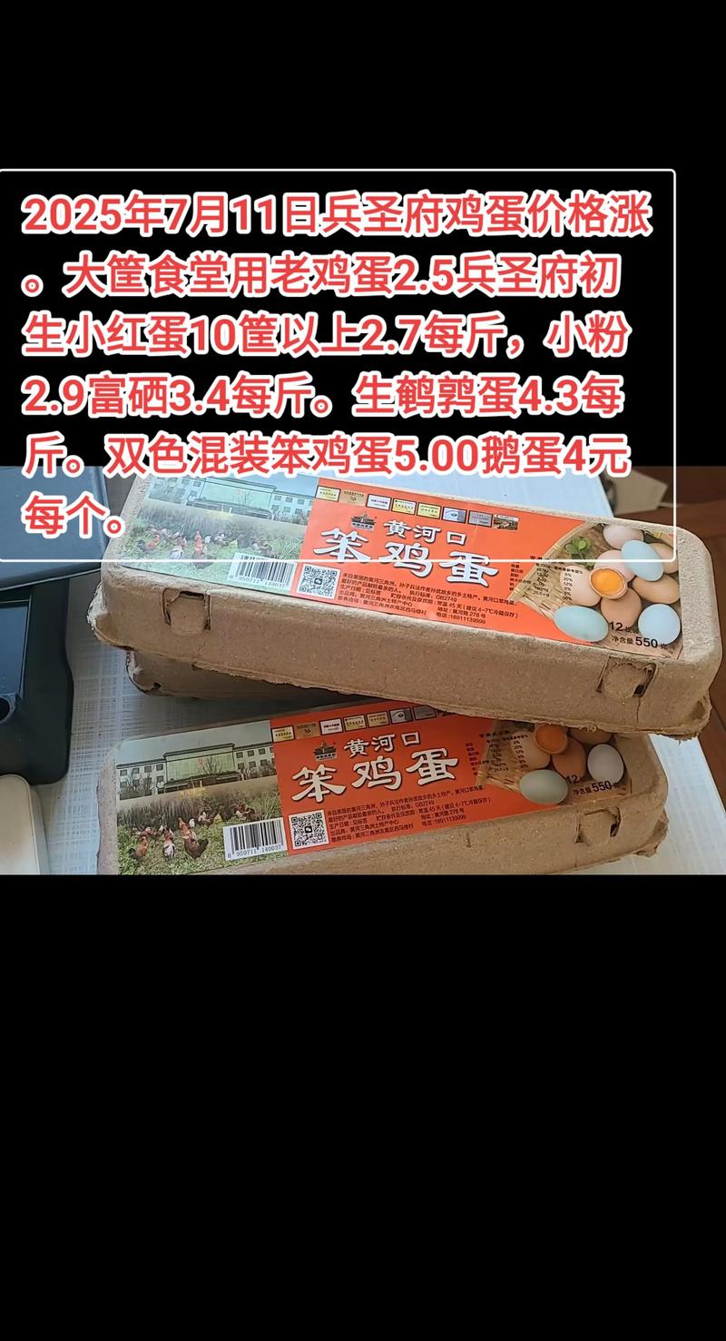 2025辽宁鸡蛋价格会涨还是跌?-图3 2025辽宁鸡蛋价格会涨还是跌?-图3