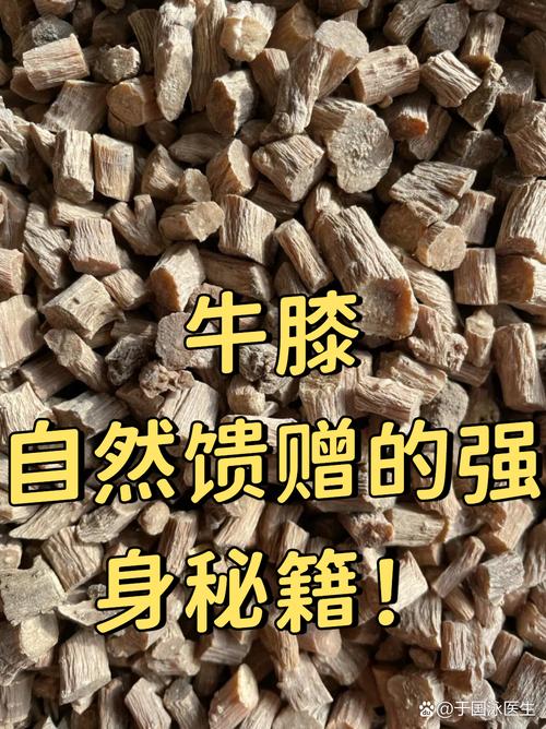 牛膝2025年价格会涨还是跌?-图1 牛膝2025年价格会涨还是跌?-图1