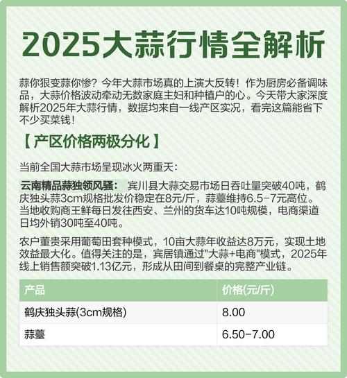 2025河南晚大蒜价格会涨还是跌？-图1