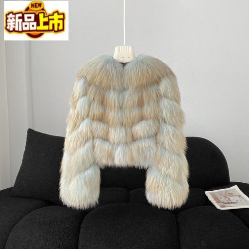 2025貉子皮最新价格是多少?-图1 2025貉子皮最新价格是多少?-图1