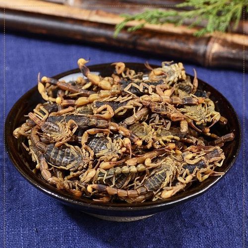 2025干清水蝎子价格多少?-图3 2025干清水蝎子价格多少?-图3