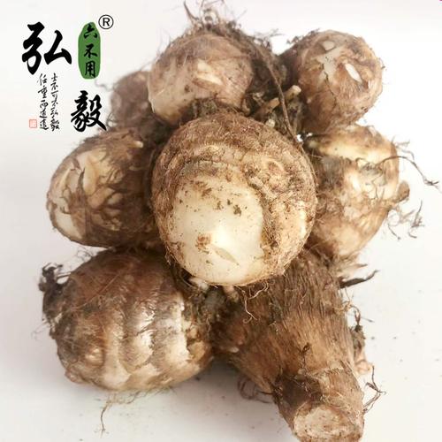 家庭种植芋头选什么品种好？-图3