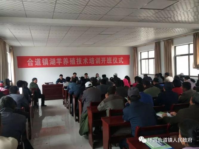 湖羊养殖技术培训视频，如何快速掌握核心技巧？-图2