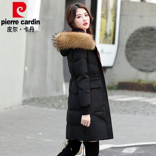 2025年貉子价格会涨还是跌?-图1 2025年貉子价格会涨还是跌?-图1