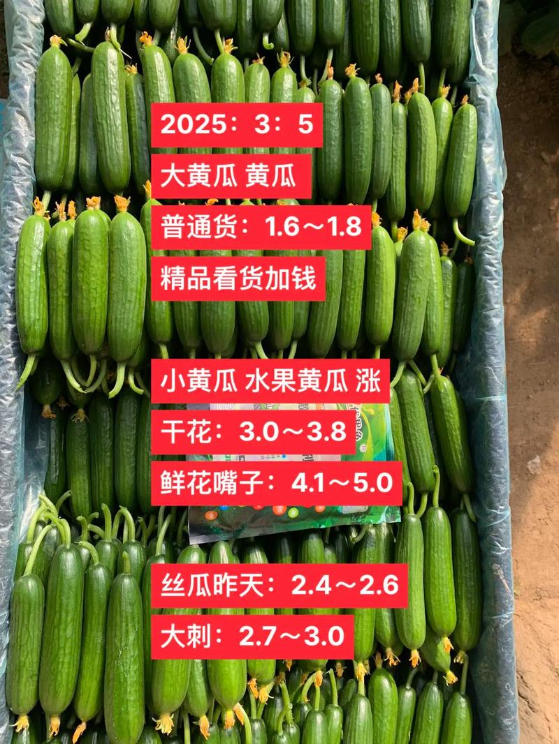 2025年昆明黄瓜价格会涨还是跌?-图1 2025年昆明黄瓜价格会涨还是跌?-图1