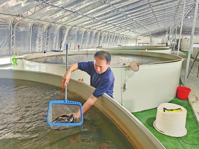 农广天地养鱼技术视频，新手能快速学会吗？-图2