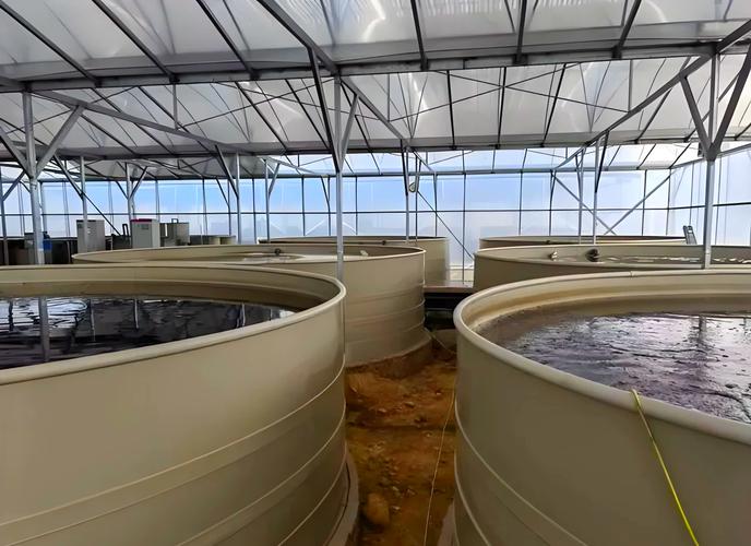 农广天地养鱼技术视频,新手能快速学会吗?-图1 农广天地养鱼技术视频,新手能快速学会吗?-图1