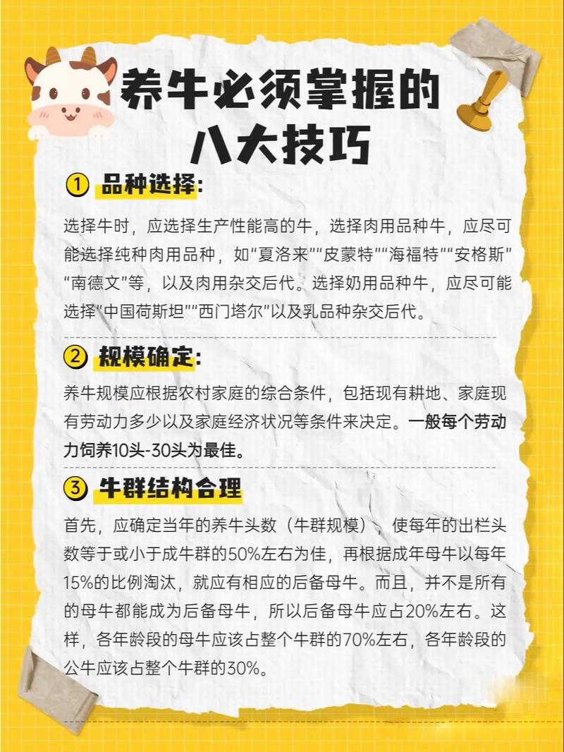 优质肉牛品种繁育的关键步骤有哪些?-图2 优质肉牛品种繁育的关键步骤有哪些?-图2