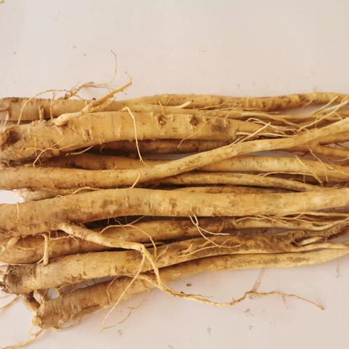 2025年药材桔梗价格会涨还是跌?-图2 2025年药材桔梗价格会涨还是跌?-图2