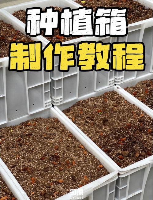 稻草泡沫版种草菇技术可行吗?-图1 稻草泡沫版种草菇技术可行吗?-图1