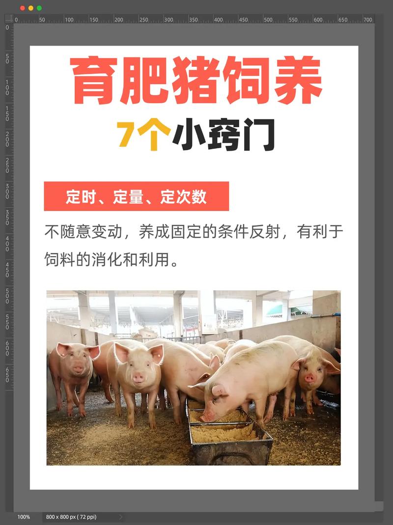 农广天地养猪技术有哪些核心要点?-图1 农广天地养猪技术有哪些核心要点?-图1