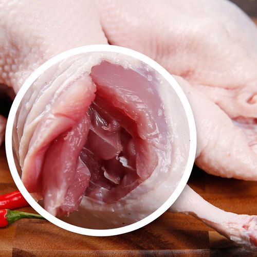 樱桃谷鸭养殖技术要点有哪些？-图3