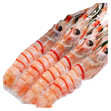 中国水产出口新西兰,主打哪些品种?-图1 中国水产出口新西兰,主打哪些品种?-图1