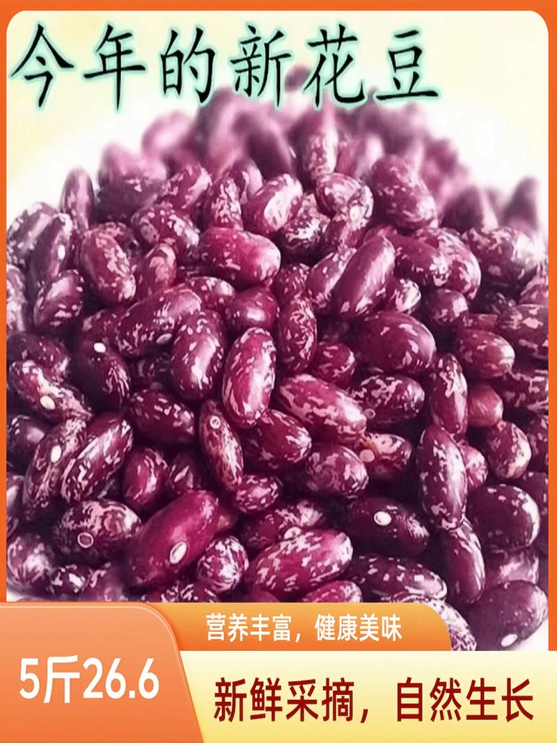 2025年芸豆价格会涨还是跌?-图1 2025年芸豆价格会涨还是跌?-图1