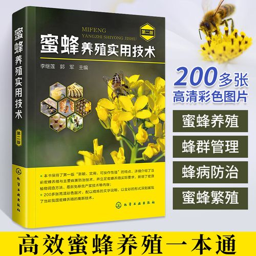 蜜蜂养殖成本与技术关键点有哪些？-图2