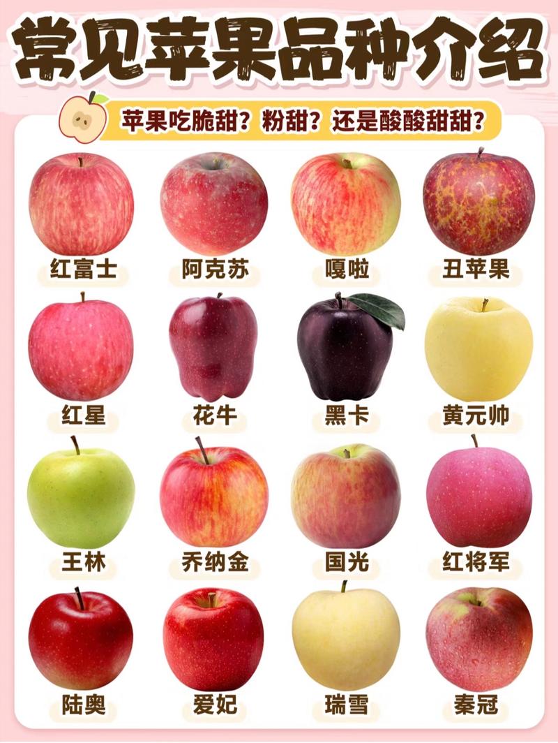 水果品种大全图片有哪些常见种类？-图2