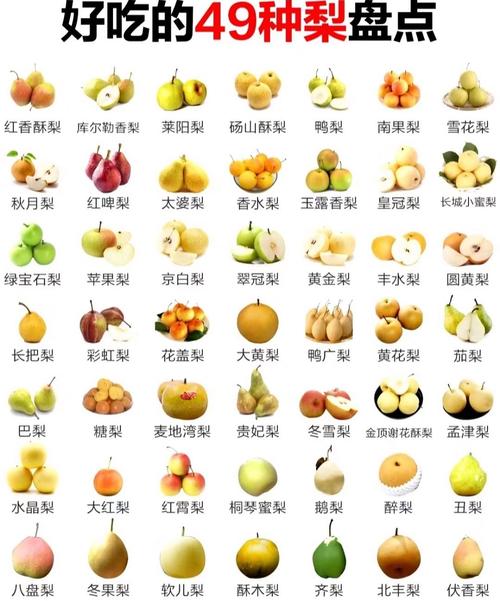 水果品种大全图片有哪些常见种类？-图1