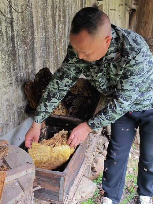 陕西蜜蜂养殖视频技术如何高效应用?-图1 陕西蜜蜂养殖视频技术如何高效应用?-图1