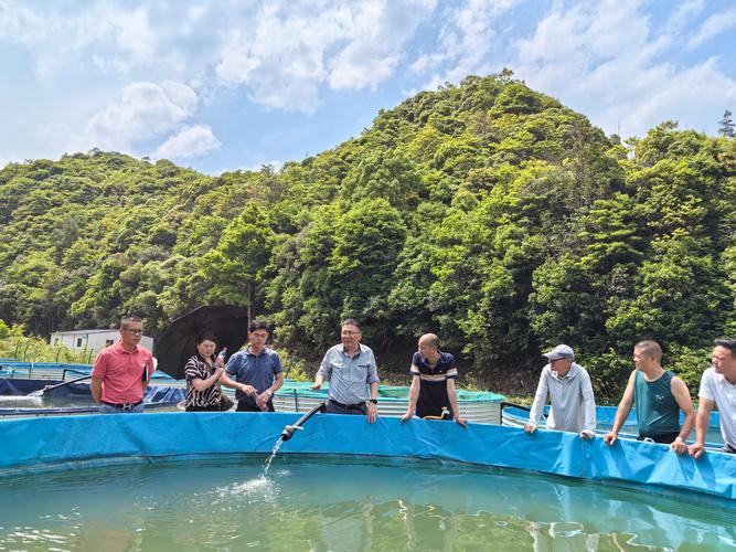 网箱渔业养殖技术培训有何核心要点？-图2