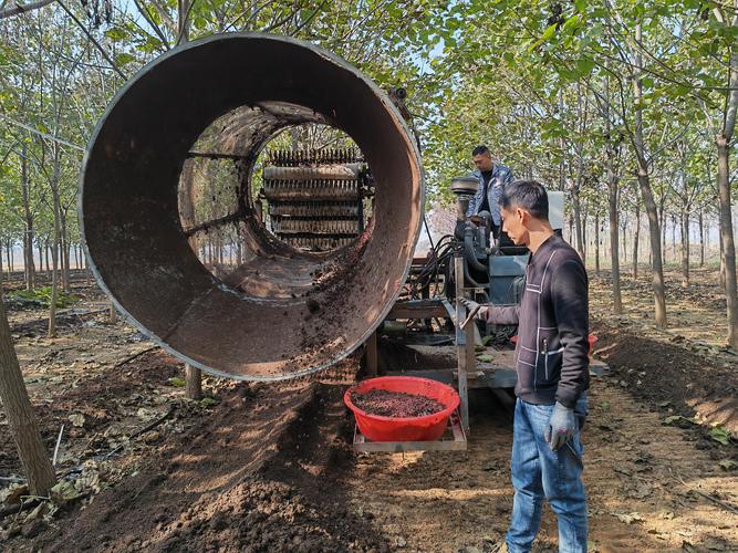 冬天养殖蚯蚓如何保温越冬？-图2