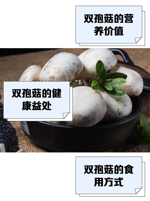 双孢菇栽培技术哪种好？-图2