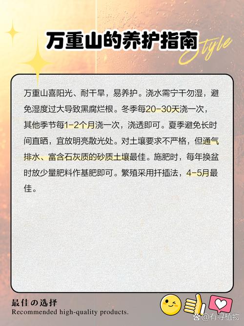 迷你仙人掌品种万重山-图2