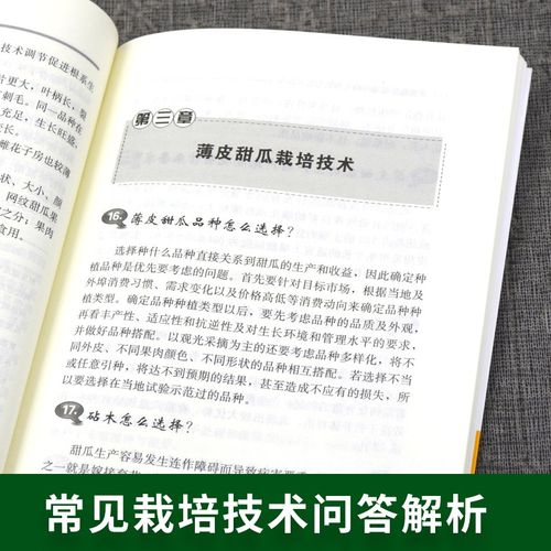 甜瓜施肥浇水管理技术-图3 甜瓜施肥浇水管理技术-图3
