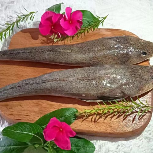 威海市出口水产品主要有哪些种类?-图3 威海市出口水产品主要有哪些种类?-图3