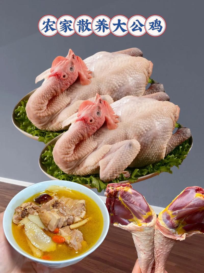2025安徽草公鸡价格会涨还是跌?-图1 2025安徽草公鸡价格会涨还是跌?-图1
