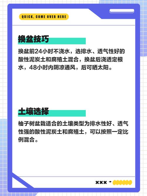北方种柚子树苗，技术难点怎么解决？-图2