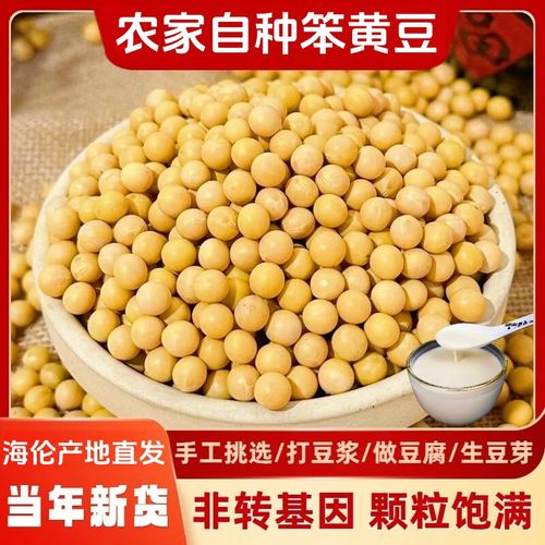 2025年芽豆价格会涨还是跌？-图3