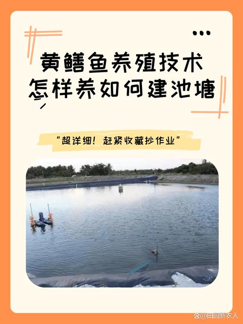 什么反应养殖技术水平-图3