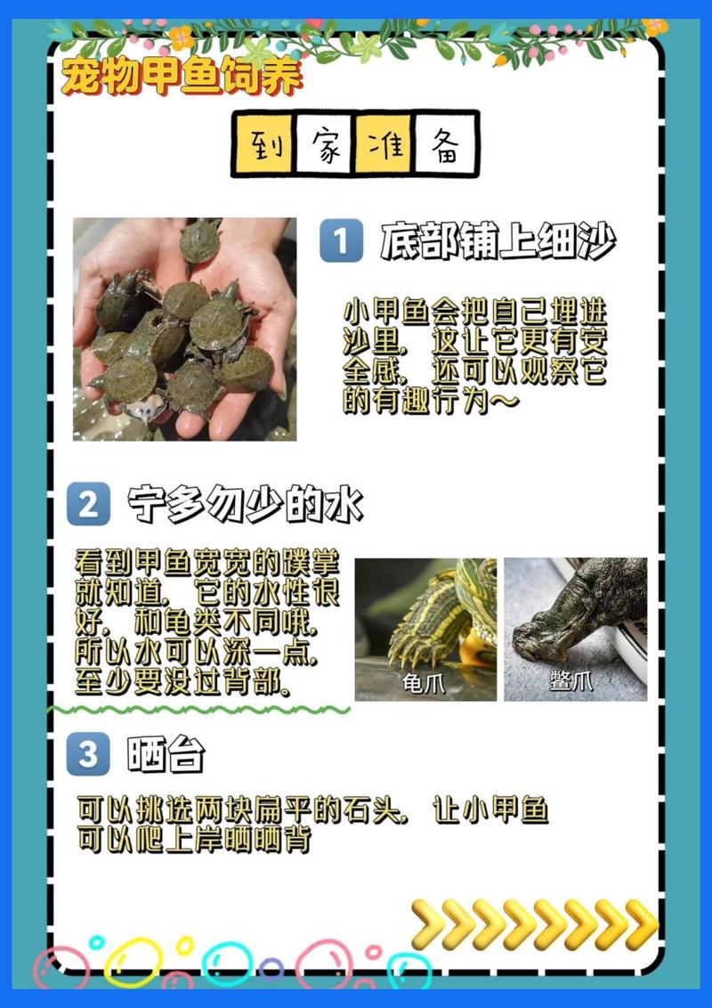 甲鱼养殖方法与技术有哪些关键要点?-图1 甲鱼养殖方法与技术有哪些关键要点?-图1