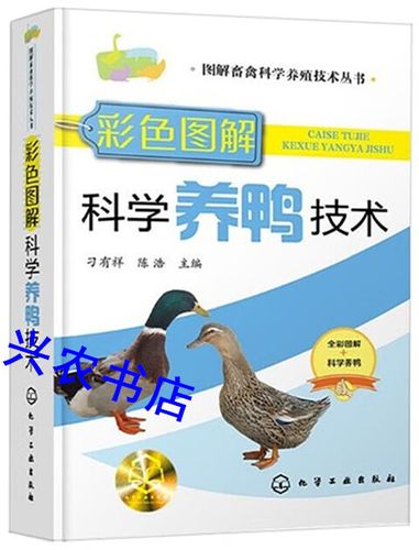 鸭子养殖技术视频教程,新手能学会吗?-图1 鸭子养殖技术视频教程,新手能学会吗?-图1