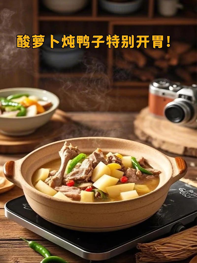 鸭子养殖技术视频教程，新手能学会吗？-图3