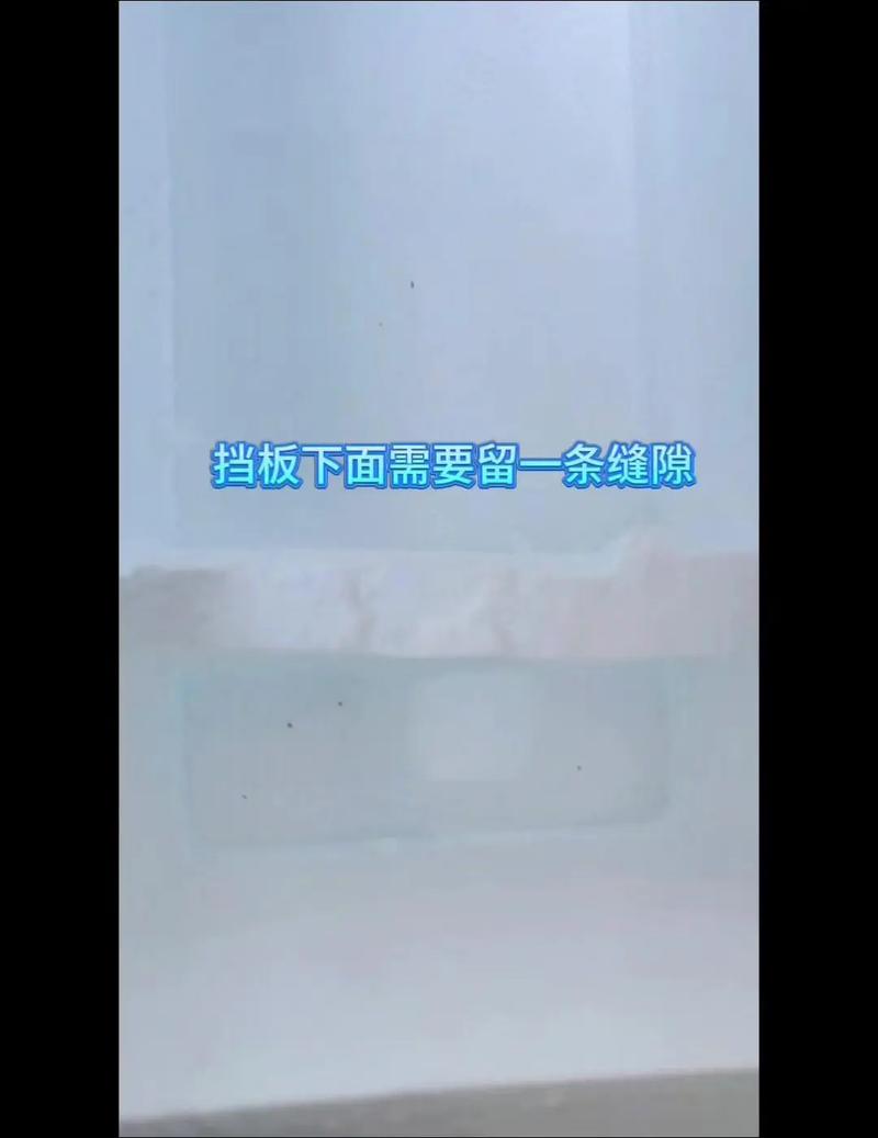 养殖大虾技术视频教程，新手能学会吗？-图3