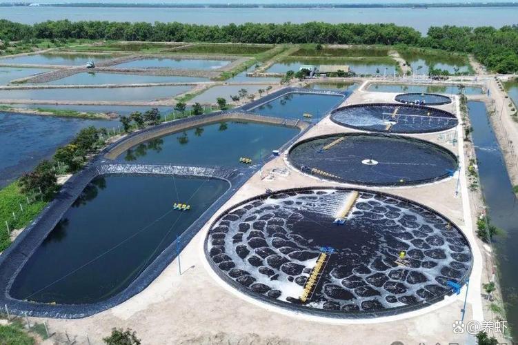 武汉水产养殖技术有何创新?-图2 武汉水产养殖技术有何创新?-图2