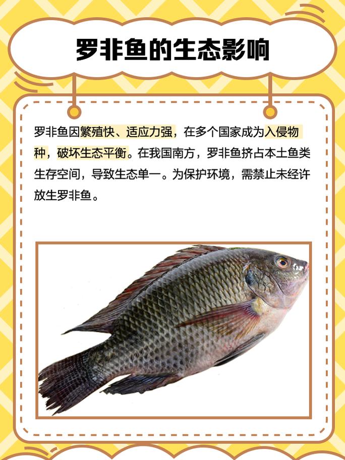 罗非鱼全人工繁殖技术如何突破?-图1 罗非鱼全人工繁殖技术如何突破?-图1