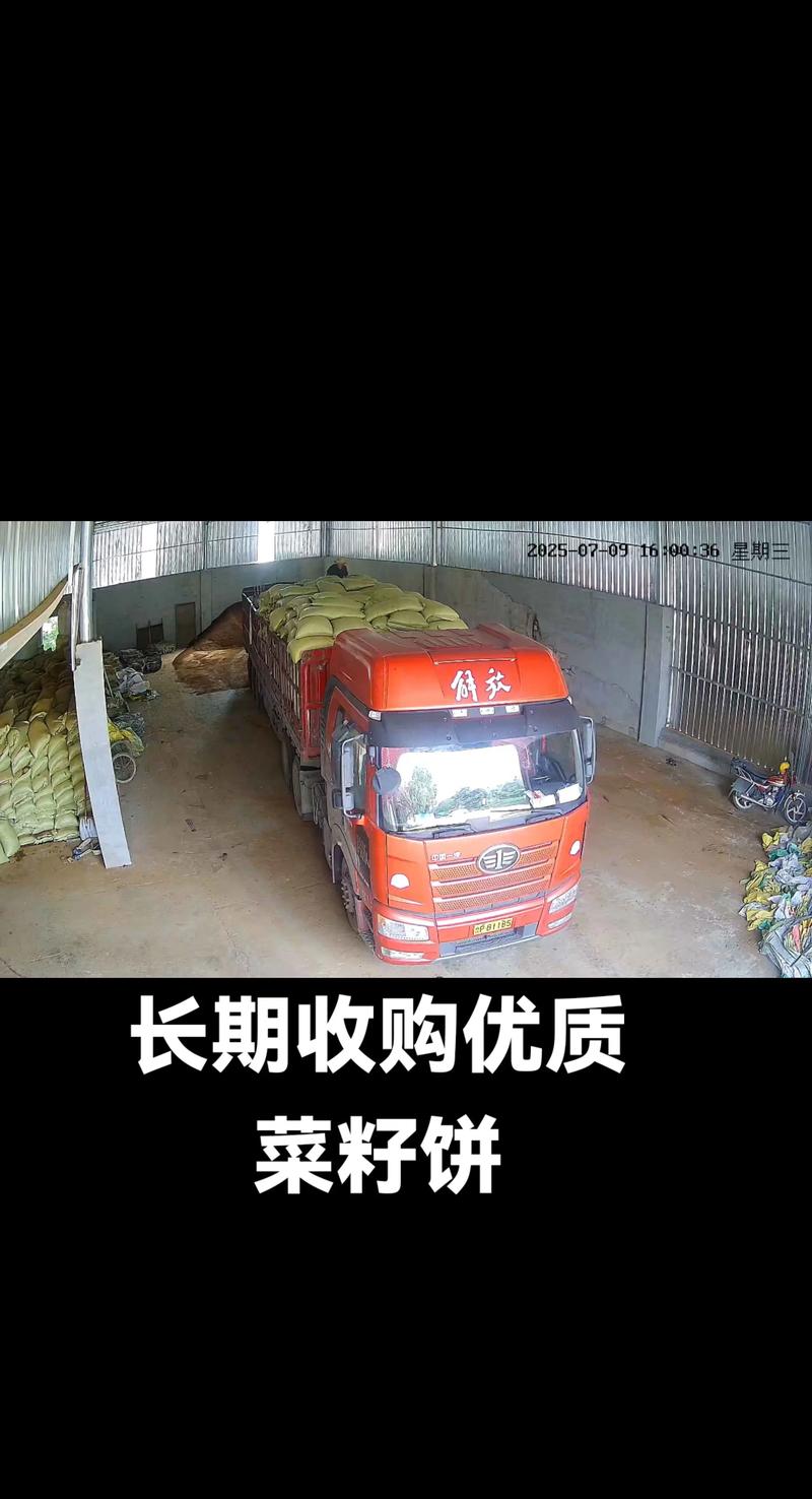 2025菜籽饼最新价格多少钱一斤?-图2 2025菜籽饼最新价格多少钱一斤?-图2