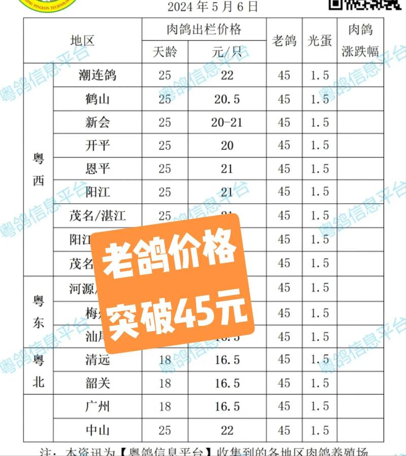2025肉食鸽最新价格-图3 2025肉食鸽最新价格-图3