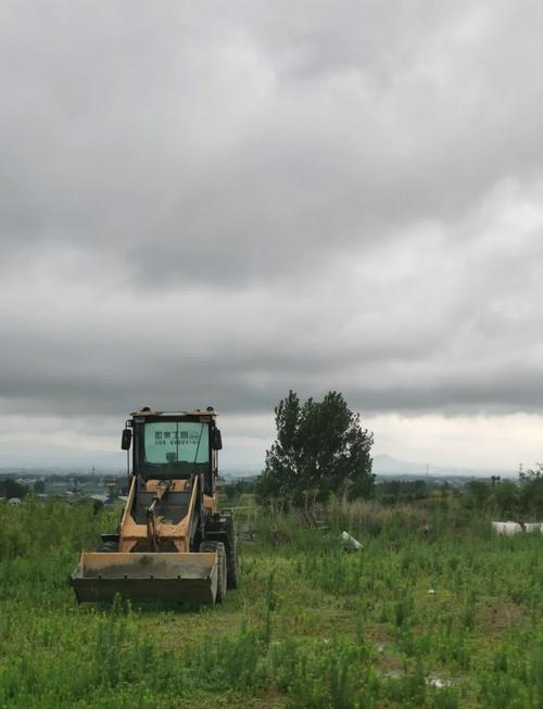 养禽技术 开放式鸡舍-图2