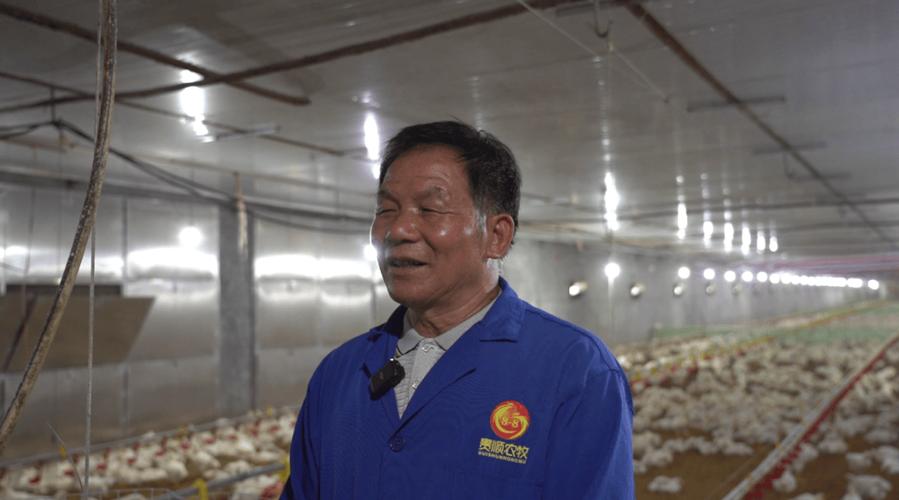 养禽技术 开放式鸡舍-图3