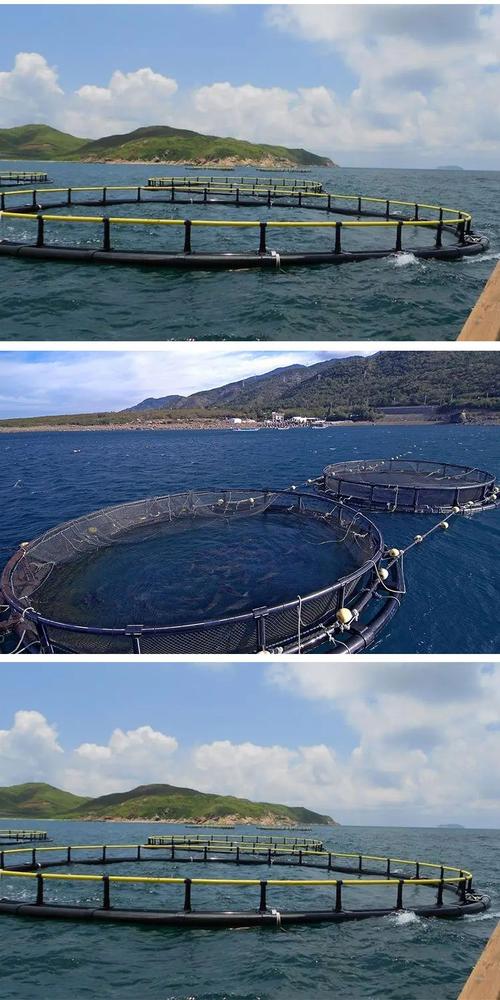 深海网箱养殖技术培训，如何快速掌握核心要点？-图2