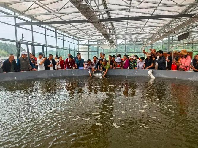 嘉善水产技术推广总站有何成效？-图3
