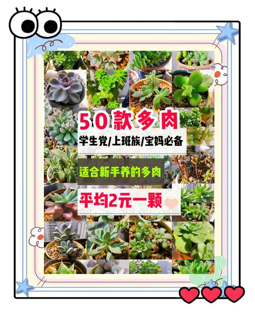 哪些多肉品种被认为能带来财运?-图1 哪些多肉品种被认为能带来财运?-图1